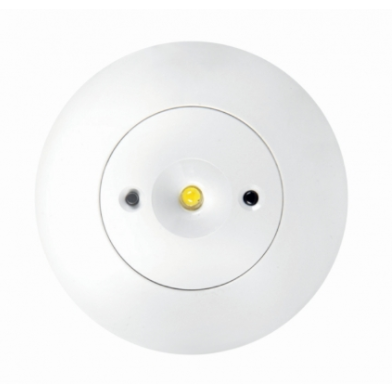 14/989/989_product_img_08242021131700_6124f14c6ca32.png