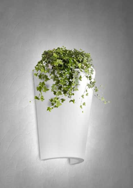 4/3283/3283_product_img_12292021115213_61cc3ddd88fee.png